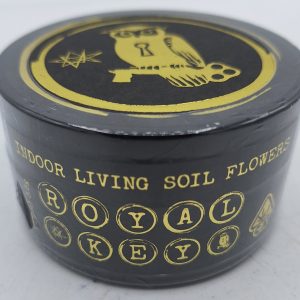 Royal Keys D.M.T by OVO Indoor Living Soil Flower
